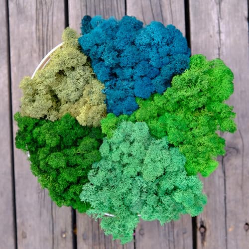 Prefleur Preserved Reindeer Mix Craft Moss Natural Green DIY Kit Gardenning Art Wall Decor Florist Easter Table Decor Wedding Decor (1lb)(Green-7 Green-5 Green-10-1Green-14 Green-16)(Style-21)