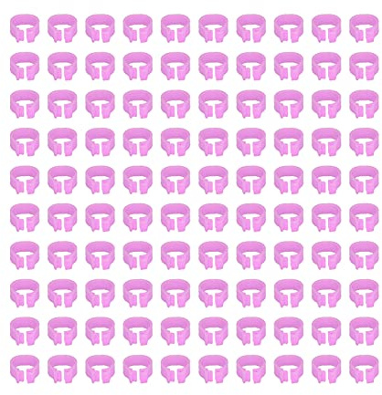 Yechiry Fournitures pour Pigeons, 100 Pièces, Anneaux D'identification en Plastique Léger, Faciles à Utiliser pour le Soin des Pigeons, 8mm (PINK)