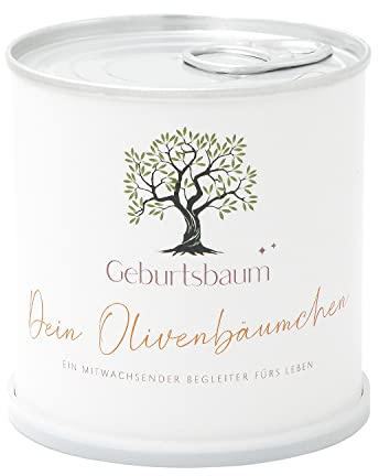 MacFlowers® Olivenbaum Anzuchtset | Ein mitwachsender Begleiter fürs Leben | Zur Geburt | Geschenk in süßer instant gardening Blumendose Taufe