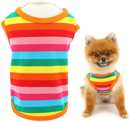 Ceeyoll Katzenbekleidung Katzenbody Nach Regenbogenweste Warme Baumwolle Robust und Komfortabel Katzenbody Haustierkleidung Die für Die Meisten Katzen Geeignet Ist Haustier Kostüm Katze（M-Code）