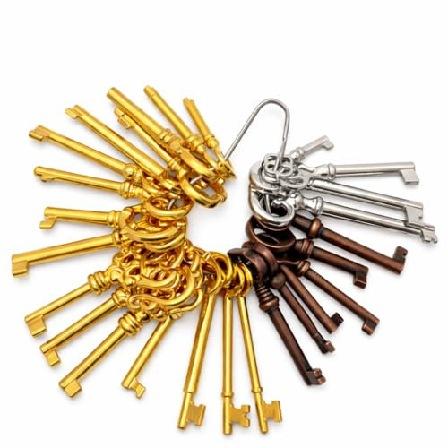 26 Pack Skeleton Key Set, Compatible with Vintage Furniture Cabinets and Antique Style Furniture Locks, Hollow Barrel Decorative Replacement Keys, with 2 Key Rings