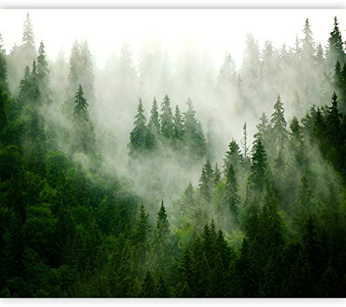 murando Fototapete selbstklebend Wald Nebel 392x280cm Foto Tapete Tapetenfolie Möbelfolie Wandverkleidung Wandtapete Motivtapeten Bildtapete Wohnzimmer 3d Effekt Modern Natur Landschaft skandinavisch