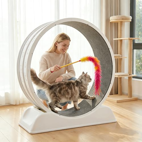 Rueda de Ejercicio para Gatos 80cm, Cat Wheel para Gatos de Interior, Laufrad para Gatos con Cinta de Felpa, Silencioso y Seguro, hasta Juguete para Pérdida de Peso y Entrenamiento Diario (Beige)