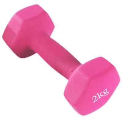 Harilla Haltère d'exercice Poids à Main pour débutants Équipement d'entraînement Multifonctionnel de 2 kg Équipement de Musculation Gym Fitness, Rose