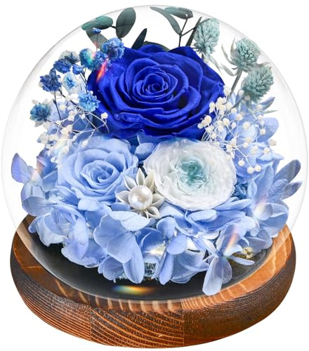 Touloube Rose Gifts for Women, Preserved Eternal Rose in Glass Dome, Real Flowers for Her, Forever Love Thoughtful Miss-You Present for Mum Wife Girlfriend on Birthday Mother's Day, Blue