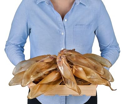 Natürliche Rinderohren mit Muschel für Hunde 10 Stück (700 g) | indischer Natur-Kausnack aus 100% Rind | langes Kauvergnügen & Zahnpflege | ohne Zusatzstoffe