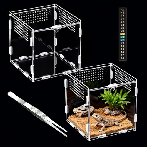 QingWing Akryl terrarium 15 x 15 x 15 cm akryl sniglar terrarium | Med termometer och pincett, transparent vivarium, andningsbar reptil avelsbur, uppfödningsbur för ödla