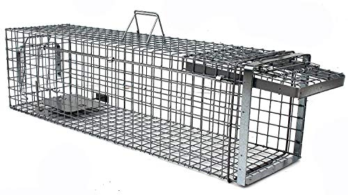 Holtaz Hardy. Super Starke Falle Marderfalle Katzenfalle Fuchsfalle Biberfalle Tierfalle Kastenfalle Drahtfalle Waschbärfalle 1 Tür, Größe: 130x34x34 cm Mit Extra Köder