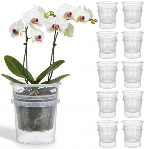 Uanqfegy Vasi trasparenti per orchidee autoirriganti con fori, confezioni da 10 – Fioriera trasparente per Phalaenopsis, cura semplice per principianti, 4, 3 pollici