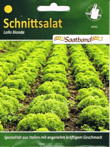 Schnittsalat Lollo Bionda Saatband