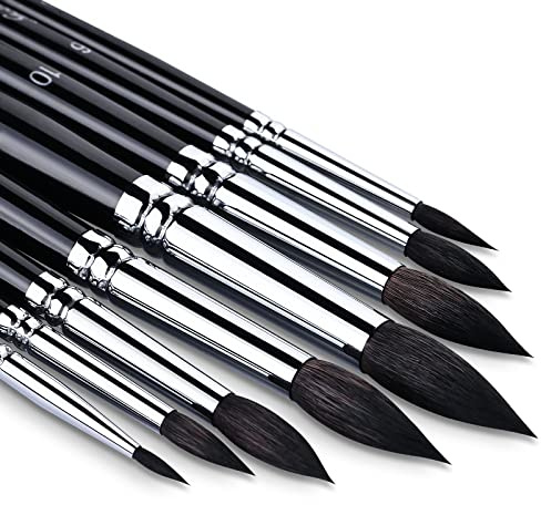 Watercolour Brush Set Squirrel Hair 8pcs Professional Mop Artists Round Watercolour Detail Paint Brushes for Watercolours,Acrylics,Inks,Gouache,Oil and Tempera
