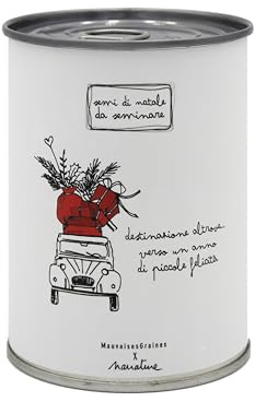 Kit di Coltivazione di Fiori da Regalare con Messaggio - Regalo di Natale per Donna e Uomo Regalo Originale Amici Famiglia Feste - Facilissimo da Usare - 100% Realizzato in Europa (Destinazione)