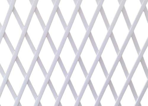 CapitanCasa Traliccio PVC Per Rampicanti Estensibile Frangivista Recinzione Giardino Terrazzo 100x200 Bianco