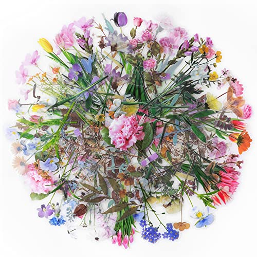 Pflanzen Blumen Sticker Set, NogaMoga 240 Stücke Decals Aufkleber, Bunt Dekoration PVC Scrapbooking Aufkleber für DIY Fotoalben, Tagebuch, Notizbuch, Kalender, Briefumschläge oder Glückwunschkarten