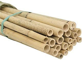 Peyca Tuteur en bambou thaïlandais pour plantes 150cm - Pack 5pcs.