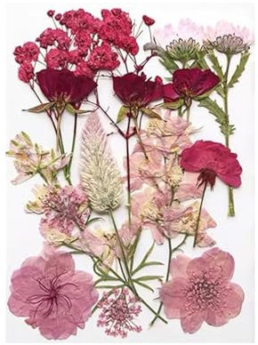 Arcjunys Dried Pressed Flowers Dried Flowers for Crafts Dry Flowers for Decoration Pressed Flowers for Crafts Pressed Dried Flowers for Resin Dried Flower for DIY Scrapbook Art Craft Decors 16 Pcs