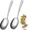 2 Pieces Stainless Steel Large Buffet Serving Spoons, 25.5 x 7.5cm With Long Handle, Dishwasher-Safe for Kitchen, Restaurant, Banquet