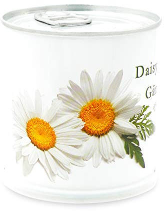 MacFlowers | Kleines Anzuchtset mit Gänseblümchen | Design White Edition | Geschenk Set mit Einer Sorte Samen in süßer instant Blumendose