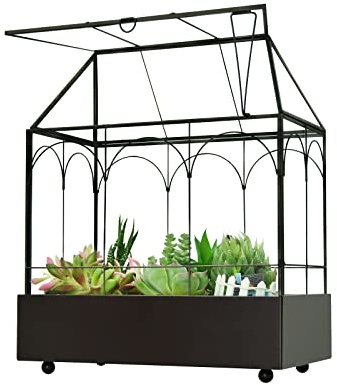 Stort Högt Växtterrarium i Glas - Terrarium för Hus Med Suckulent, Läpp och Bricka, Växthus för Växt 25 x 13 x 4 Tum