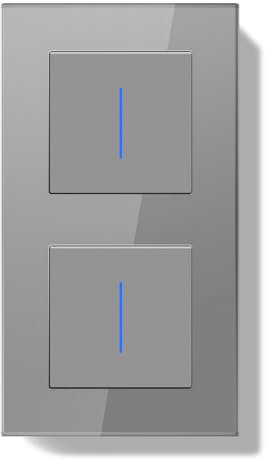 BSEEDLIFE Double Interrupteur Mural,Interrupteur Encastrable avec Indicateur LED avec Cristal Cadre en Verre,Installation Facile,Double 1 Gang 2 Voies 157 * 86mm Gris