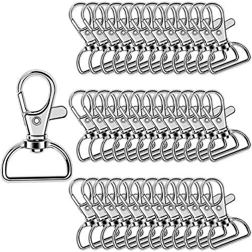 50 Stück Schlüsselanhänger Drehverschlüsse Lanyard Karabinerhaken Karabinerverschluss Schlüsselketten-Clip Schlüsselring für Schlüsselanhänger (2cm Innenbreite) (Silber)