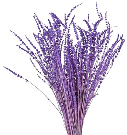 Lavanda seca - 30 cm de flores secas, ramo de lavanda natural, paquete de 60 g, ramo decorativo para fiestas, bodas, decoración de bricolaje, decoración del hogar