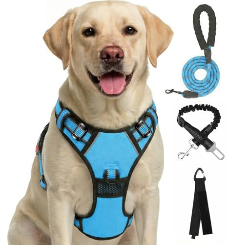 FURRYFECTION arnés Anti-tirón para Cachorros pequeños, arnés de Pecho Seguro Reflectante, Entrenamiento, Azul