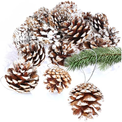 COM-FOUR® 20x Anhänger Tannenzapfen mit weißen Spitzen - Pinienzapfen als Weihnachtsdekoration - Zapfen Deko zum Anhängen - Bastel Set - Weihnachtsschmuck