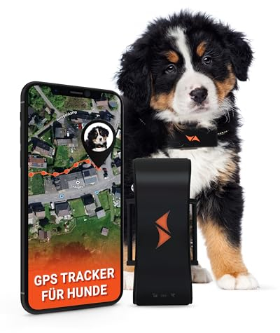PAJ GPS Tracker für Hunde - 4G - Weglaufalarme + weltweite Live-Ortung - Akkusparmodus in Routernähe - Hunderückruf - mit Leucht-LEDs - Wasserdicht (IP67) - passt an jedes Halsband - schwarz