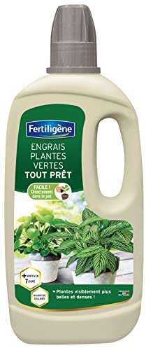 FERTILIGENE FPVPAL1 - Engrais Liquide Plantes Vertes Prêt à l'emploi 1 L - Plantes plus vertes en 7 jours - Apporte une nourriture équilibrée - Formule à base de minéraux - Solution déjà toute prête