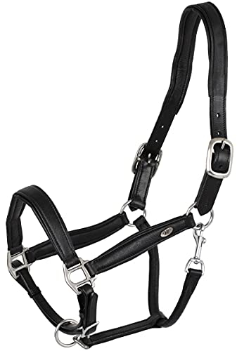 Marengos - Halfter Soft Comfort aus Leder – Pferdehalfter mit weich gepolstertem Nasenriemen & Genickstück – edles Lederhalfter – Pferde Zubehör in Schwarz – Pony