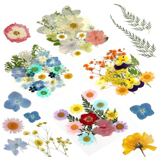 Fiori Secchi Decorativi, 84 Pezzi Fiori Secchi per Resina, Fiori Pressati Secchi, Fiori Secchi Naturali, per artigianato e decorazioni, cornici per foto, custodie per cellulari, produzione di sapone