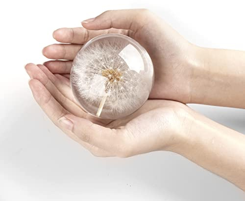 CAIRIAC Real Dandelion Paperweight, Dandelion in Resin Ball, Home Office Decor, Resin Ball and Gift Package for Anniversary Christmas Birthday Valentines Wedding Gift