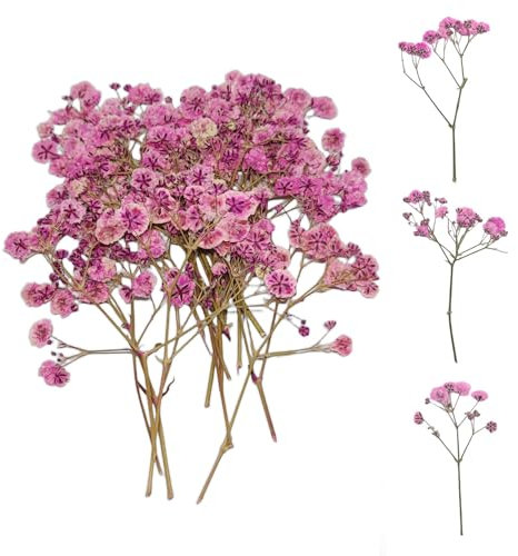 Ruzister 50 pezzi fiori secchi, piccoli fiori di respiro del bambino, vera natura, rosa e delicato, per candele fai da te, resina, gioielli, nail art, artigianato