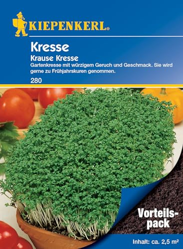 Kiepenkerl Kressesamen Krause, Vorteilspack 280 für 2,5 m² - Kräutersamen für Kresseanzucht, schnell wachsend, ideal für Salat, würziger Geschmack, Gemüsesamen, Saatgut