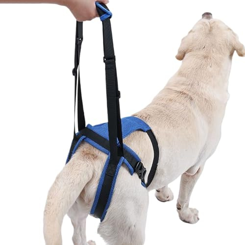 Renchey Arnés De Soporte para Patas Traseras - Ayuda de Movilidad para Perros,Ajustable para Animales Mayores O con Movilidad Reducida Asistencia para Caminar Levantarse E IR Al Baño