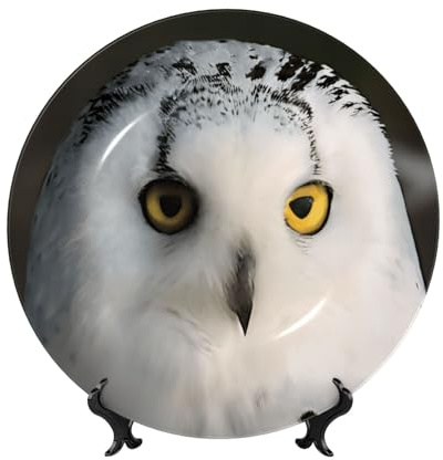 KYVTYBGDD Bone China Decorative Plate Snowy Owl Eyes Print Home Wobble-Plate With Display Stand, Porcelain Plate For Home Kitchen Bedroom Decor, Round 6, 7, 8, 10 Inch