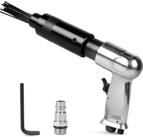 SWAWIS Nettoyeur de Rouille à Aiguilles Air Comprimé 3000 tr/min avec 19 Aiguilles Ø 3mm Outil de Dérouillage
