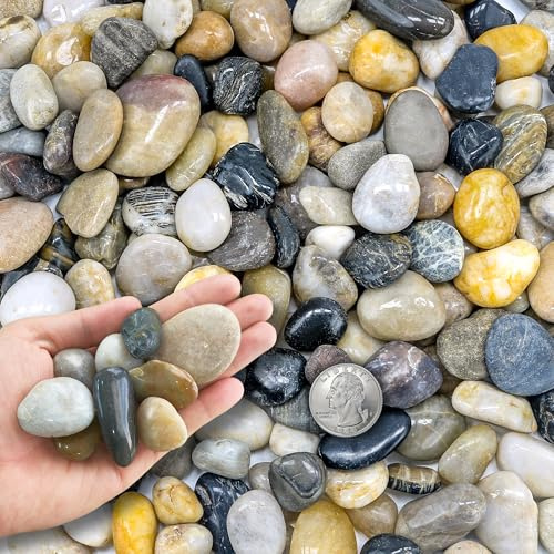 CHEOAR Sassolini Decorativi Per Vasi 1.4 kg (3 lb), Sassi Decorativi per Giardino e Vasi 1-2 cm - Pietre per Vasi Piante, Sassolini per Acquario, Ghiaia per Esterni e Decorazione
