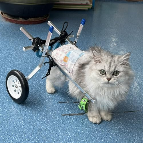 EXCLURA Hunderollstuhl Hunde-/ Katzenrollstuhl mit 2 Rädern und Gurt, Extra Kleiner Hundefahrradanhänger für Gelähmte Hinterbeine, Leichter Haustierwagen für Wohnungskatzen(Size XXS)
