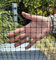 New 1m wide 60 g/m2 PVC Garden Mesh Netting Aviary Fencing Animals Flowerbeds Chicken (1m x 10m)