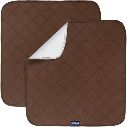 Waterproof Chair Pads for Incontinence 22 x 21, 2 Pack