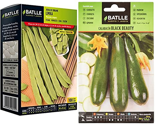 Semillas Batlle Judia LIMKA & Calabacin BLACK BEAUTY
