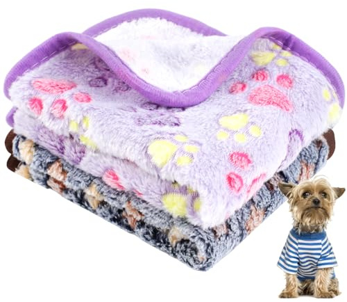 2 Pack Dog Blankets Washable, 60 x 40 cm Thin Puppy Pet Blanket, Soft Coral Fleece Blankets Sleeping Mat for Indoor Small Cats Dogs Sofa Bed