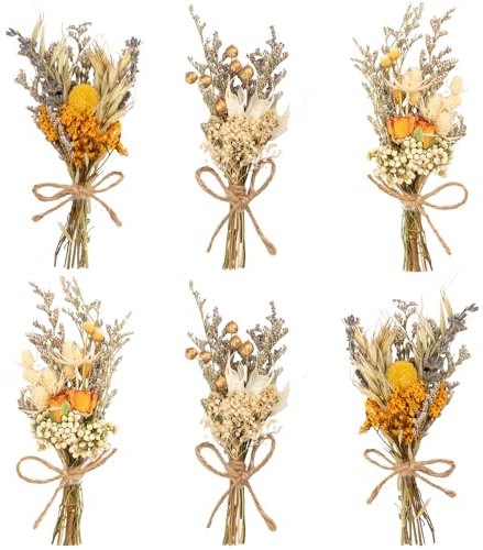 LAUMOE 6 Bündel Trockenblumenstrauß, Trockenblume, Getrocknete Blumen, Trockenblumen Zum Basteln Trockenblumen klein für Bilderrahmen DIY Heim-Party Und Hochzeitsdekoration (Stil 1)