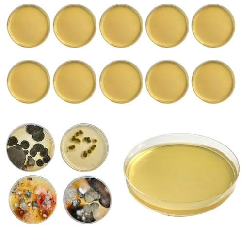Kit de test de moisissure pour la maison, 10 tests simples de détection de moisissures, analyse de laboratoire optionnelle, système CVC, air ambiant, surfaces domestiques pour moules