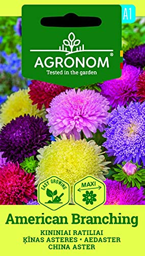 AGRONOM | ASTER DE CHINE AMERICAN BRANCHING des graines | Graines de fleurs | 1 Paquet