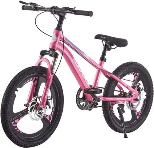 BSTSEL Kids Bike 20Inch Youth Bike Shock Absorber Bike,12.25-Inch Frame,V-Brakes,Suitable for 9-14 Year Old Boys and Girls Mountain Bikes Pink Blue Bicycle (Pink, 20)