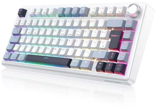 OMOTON Mechanische Tastatur Gaming, 2.4GHz/Type-C/BT, 75% Hot-Swappable Kabellos Tastatur mit Knopf, Gasket Struktur, RGB, Creamy Keybord Linearer Schalter, QWERTZ ISO-DE Layout, MK211