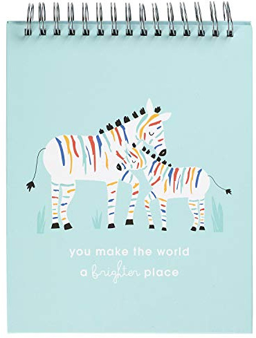 C.R. Gibson You Make The World a Brighter Place regnbåge zebra baby milstolpe kort foto rekvisita blädderbok, 20 x 25 cm